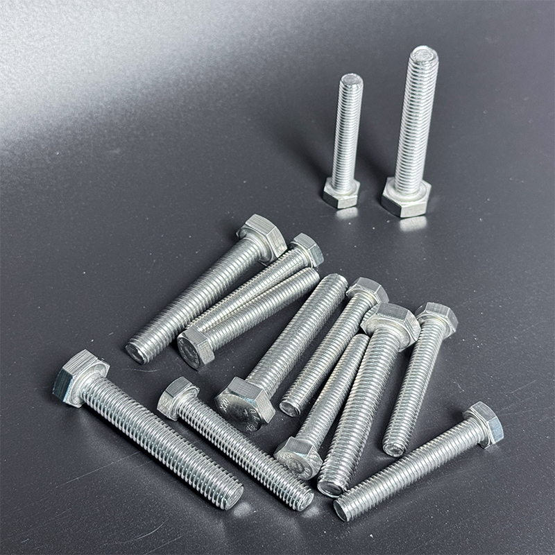 Stainless Steel Hex Bolts3.jpg